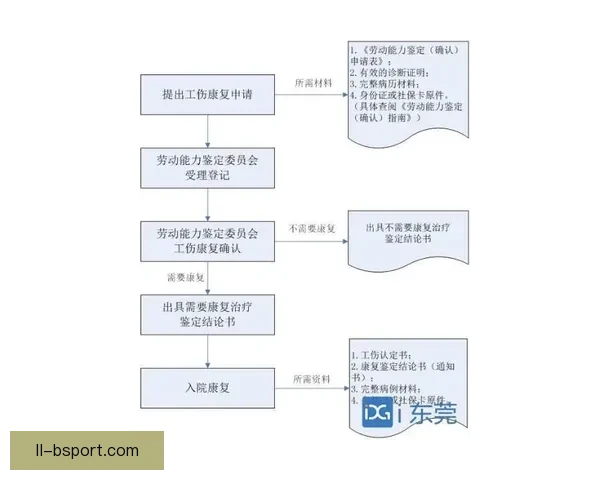 国家队伤停核心球员复苏指南从康复到重返巅峰的系统路径解析